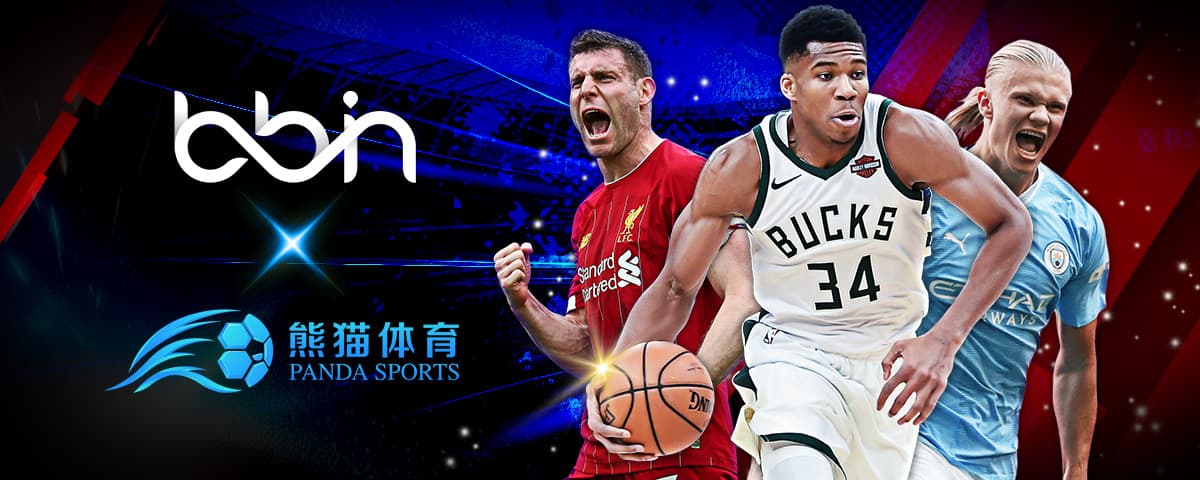 教练们会根
