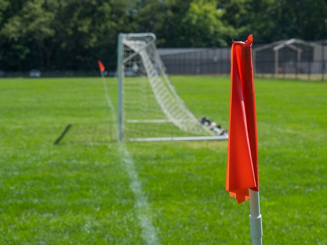 社会责任与 社会责任与