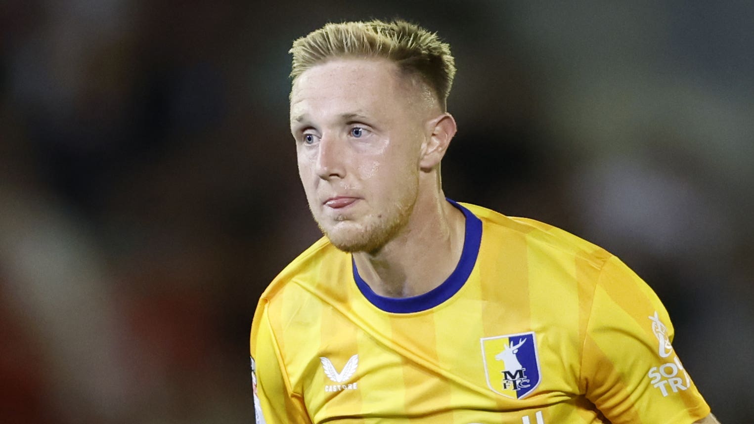 崛起之星 崛起之星