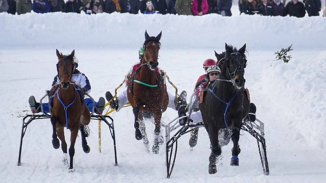 最大潛力 最大潛力