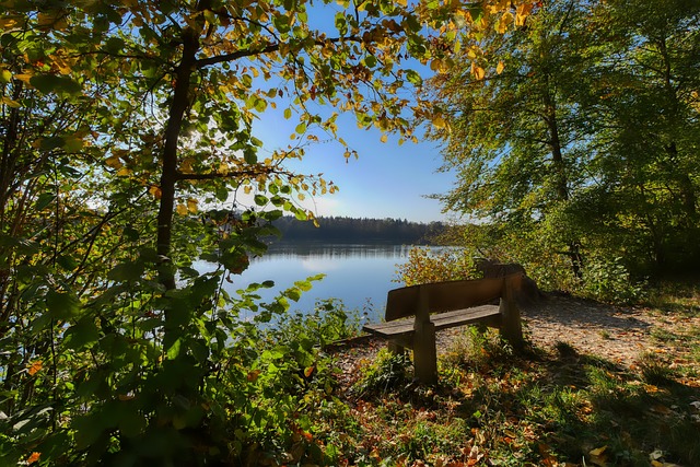 信任的关键 信任的关键